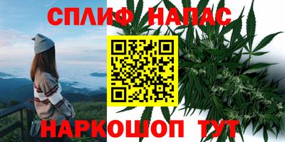 PSILOCYBIN Ликино-Дулёво