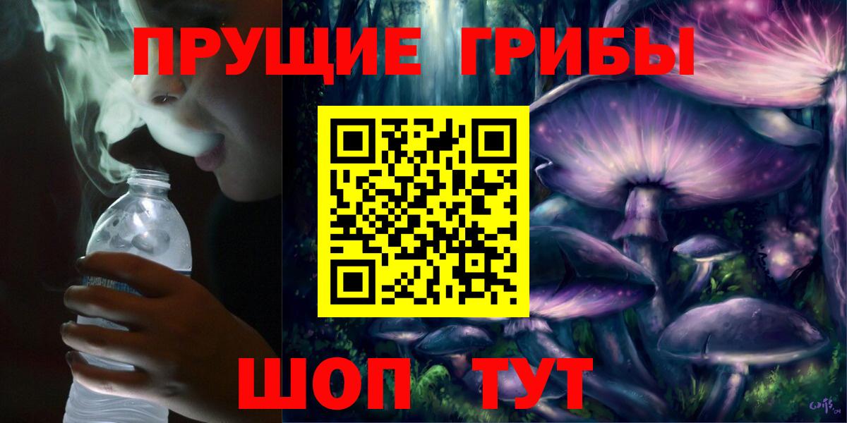 купить наркотики цена  Вход с VPN  Камень-на-Оби  Галлюциногенные грибы Magic Shrooms  Псилоцибиновые грибы мухоморы 
